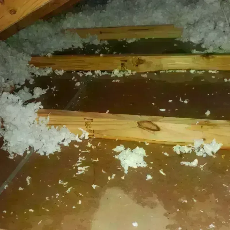 Attic Water Damage in Highland County, OH