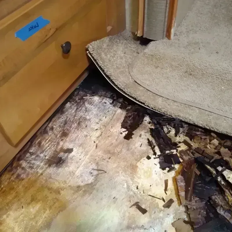 Best Wood Floor Water Damage Service in Highland County, OH